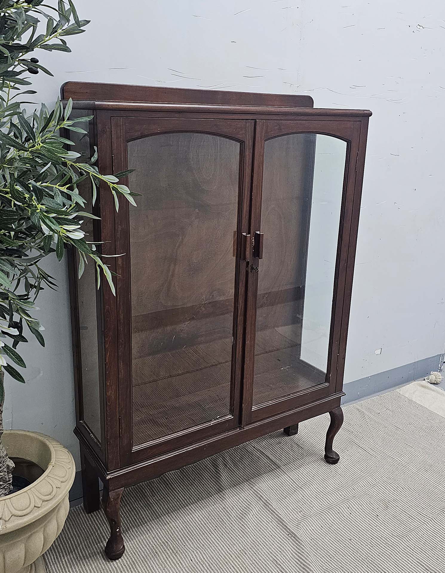 Display Cabinet with 2 Glass Shelves