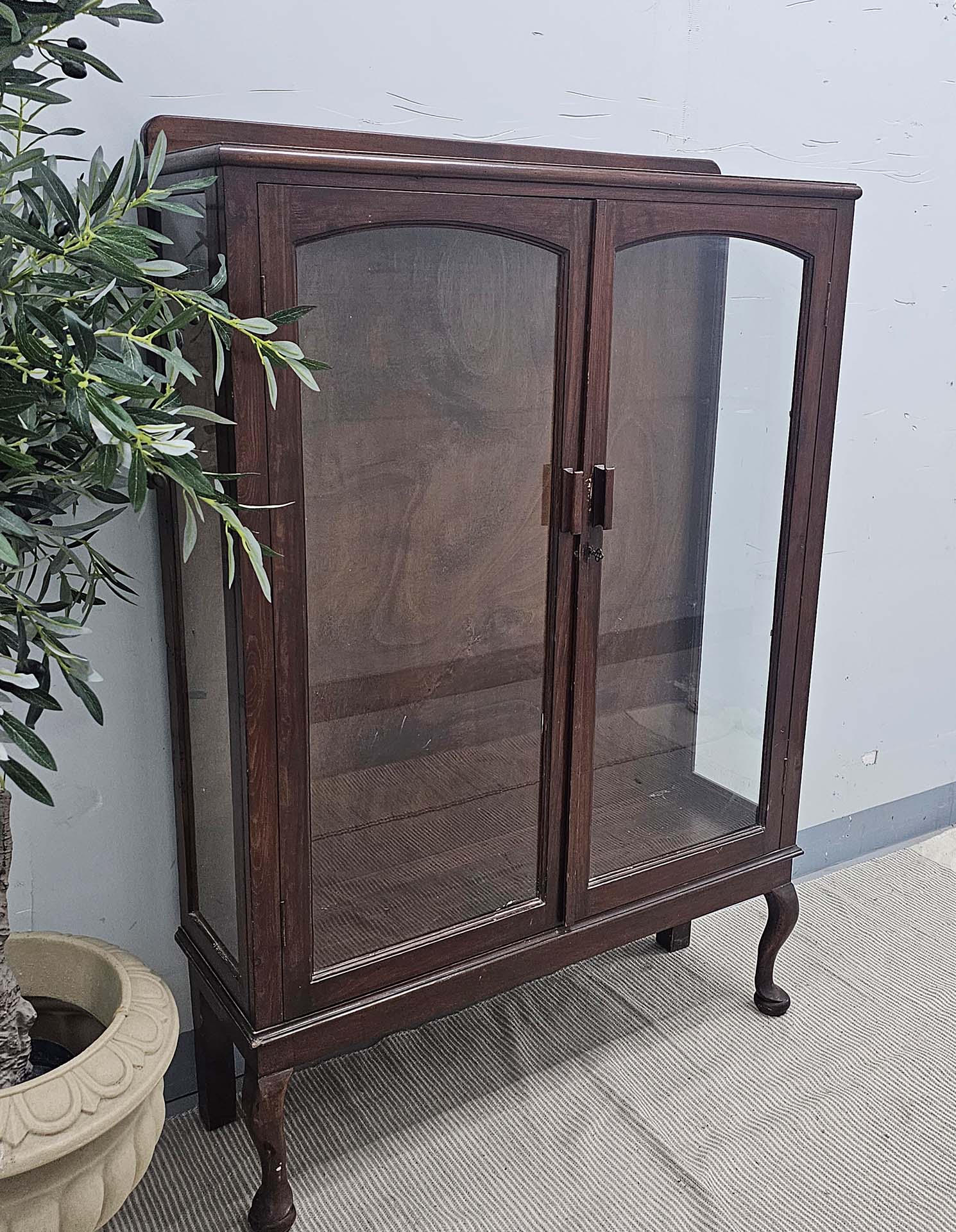 Display Cabinet with 2 Glass Shelves