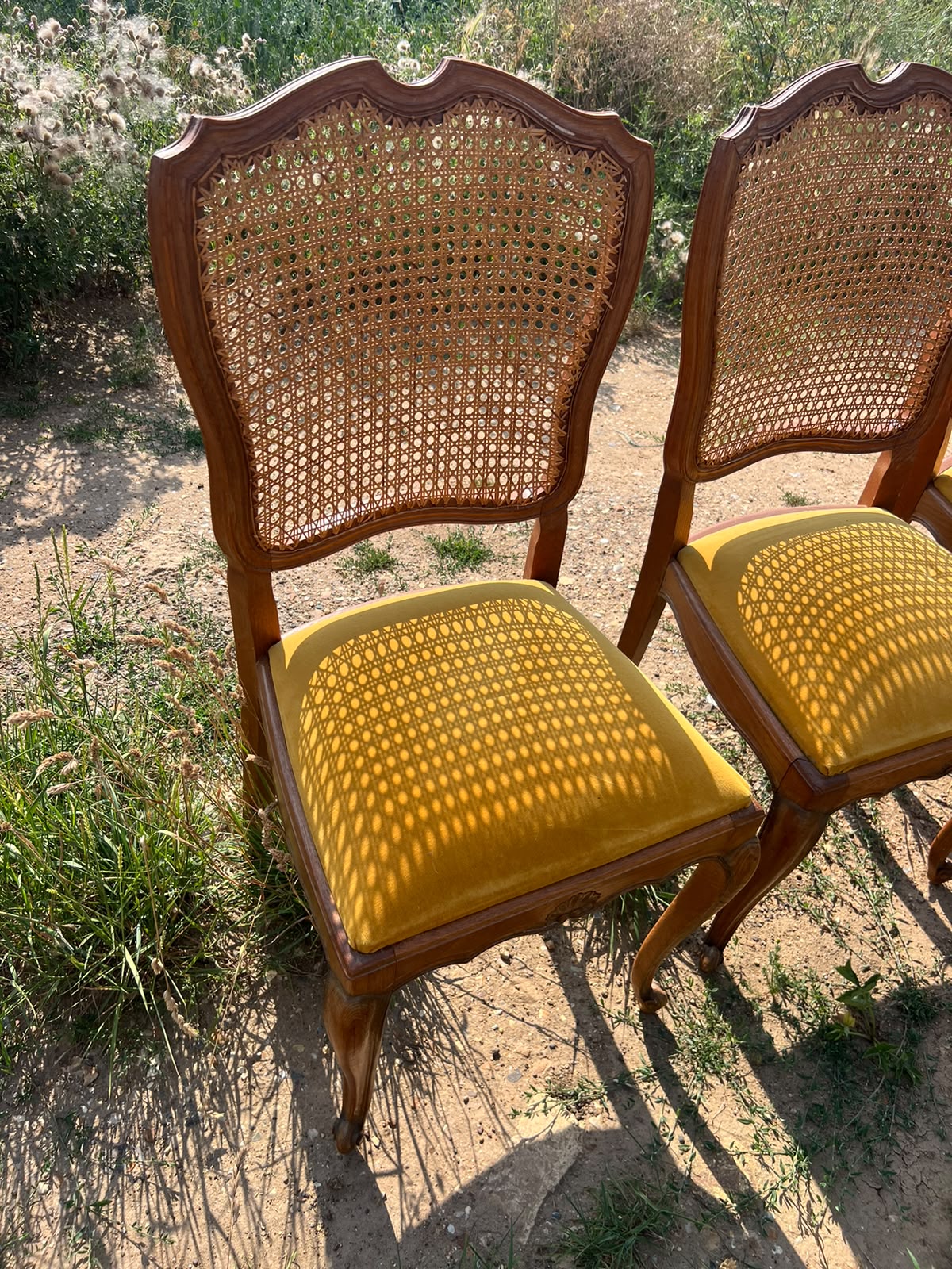 French Style Cane Back Dining Chairs