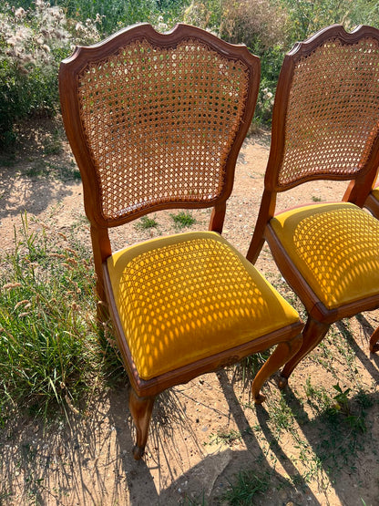 French Style Cane Back Dining Chairs
