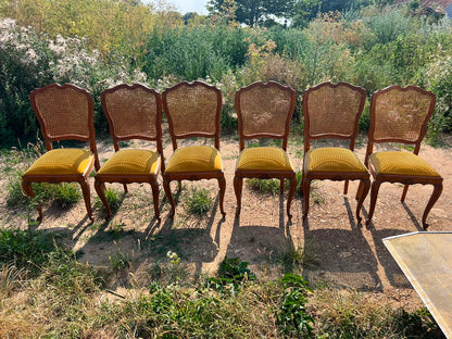 French Style Cane Back Dining Chairs