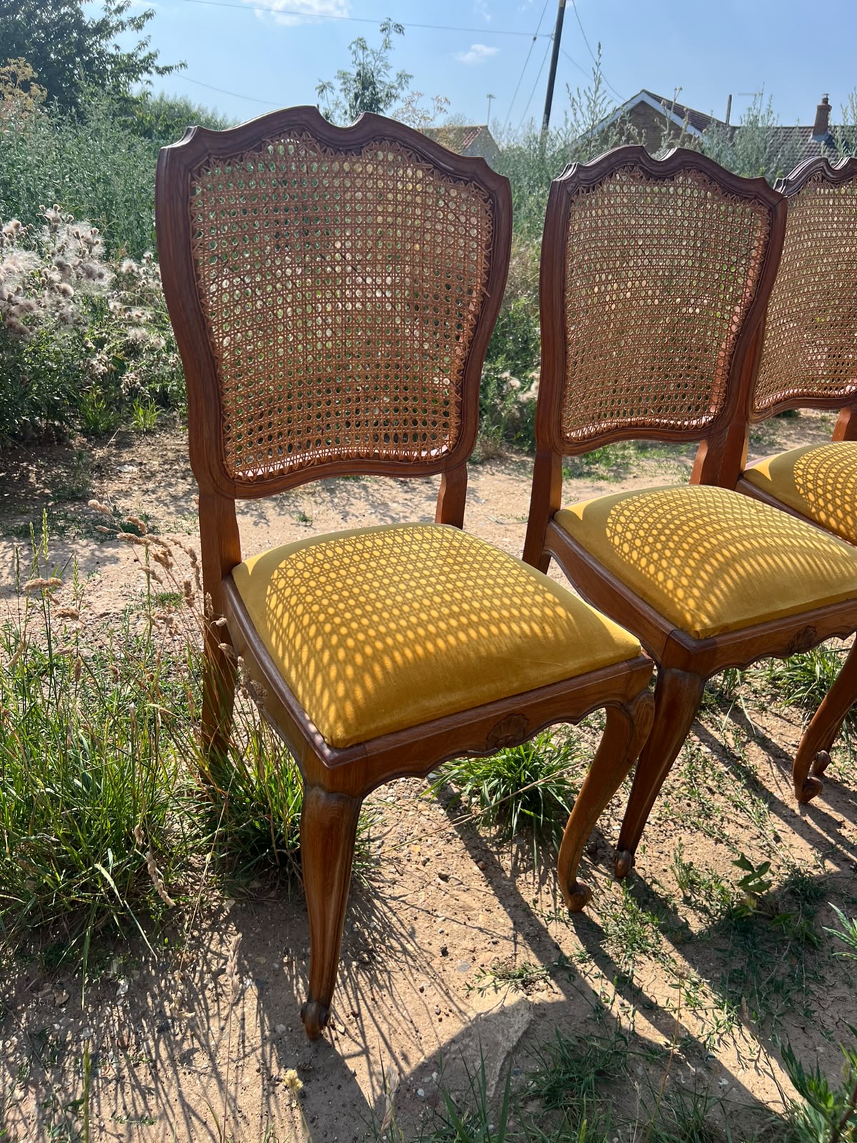 French Style Cane Back Dining Chairs