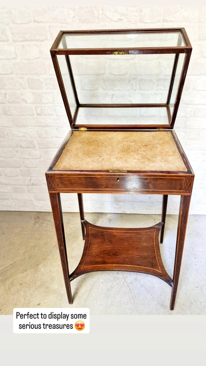 Edwardian Display Table; arriving Jan